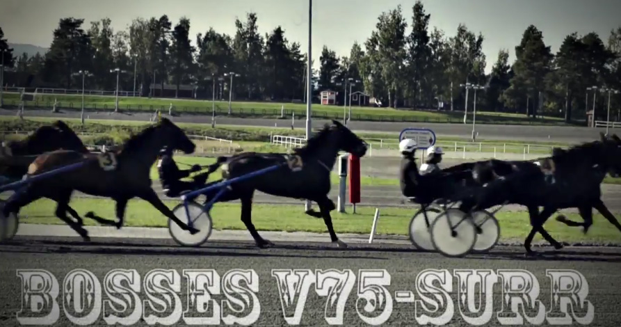 Bo Eklöfs Travsurr inför V75 på Gävle
